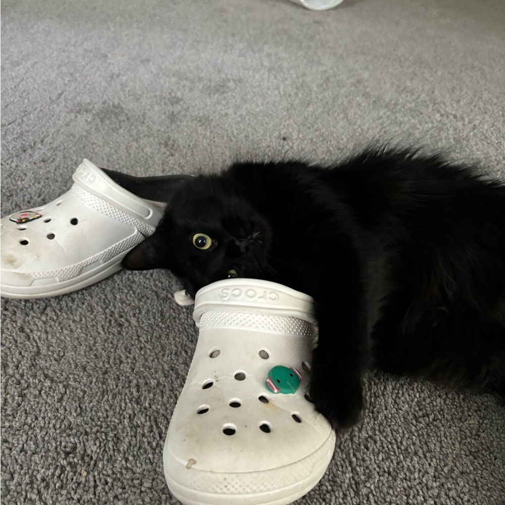 SOLD POSH WONT LET ME DELETE‎ BC OF THEIR DUMB POLICY DO NOT BUY